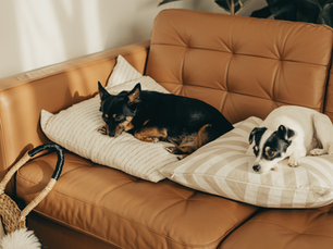 Comfort Over Style - The Unruly Home: Volume 4