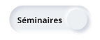 SEMINAIRES (3).png