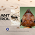 Understanding Ant Control: A Comprehensive Guide to Identification and Infestations