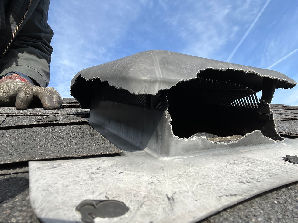 Squirrel Damage to Roof Vent