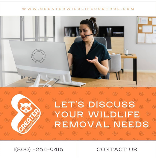 Wildlife Control Toronto