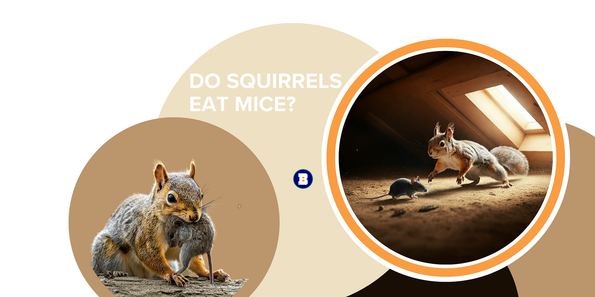 Do Squirrels Eat Mice in Your Brampton Attic?