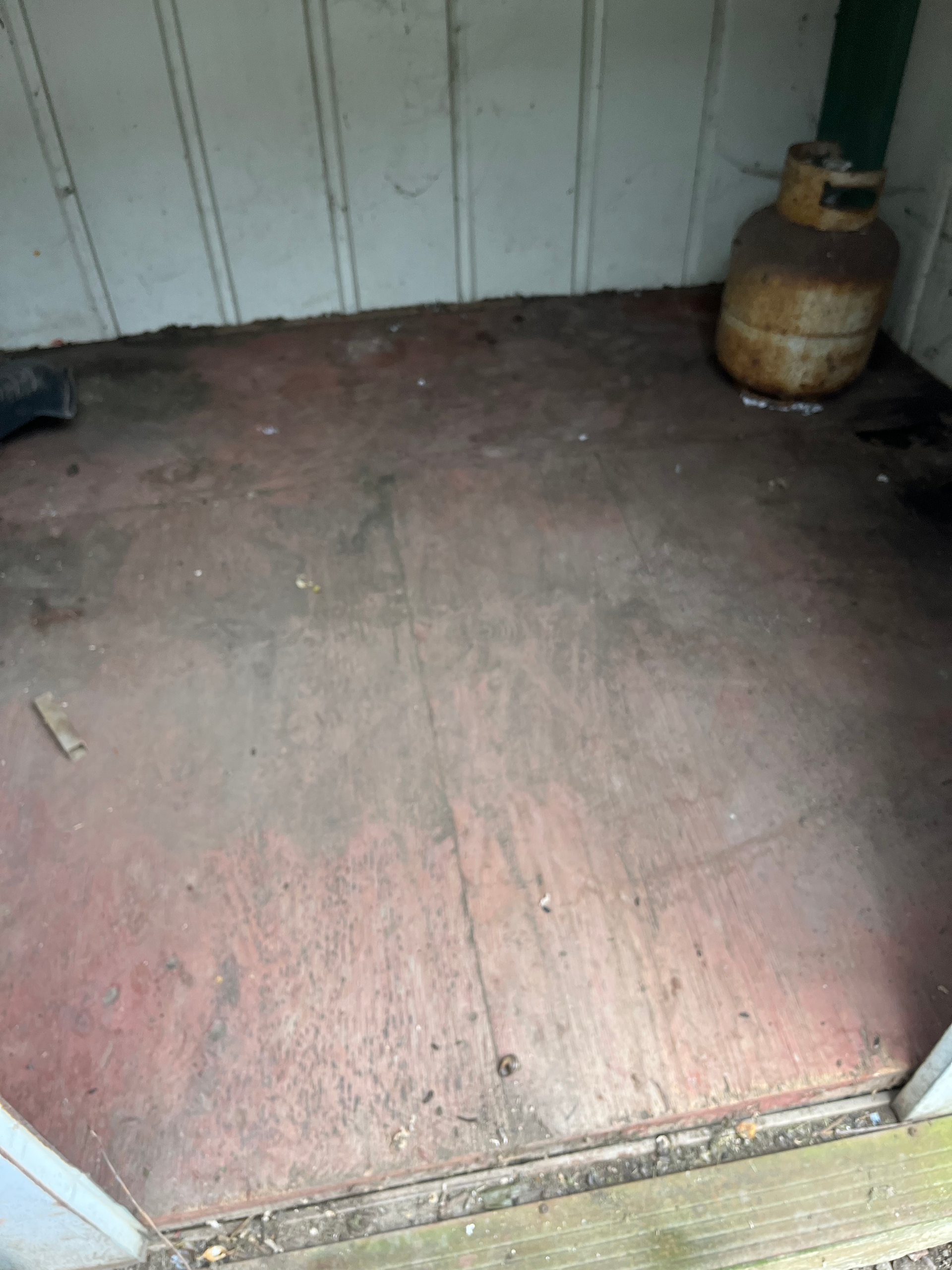 Mouse poop removal and cleaning
