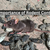 Effective Methods for the Control of Rodents in Ontario: Safe and Practical Tips