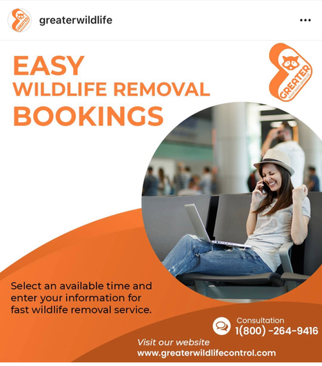 Toronto Wildlife Control, Greater Wildlife Control Bookings, Wildlife Control Service Toronto