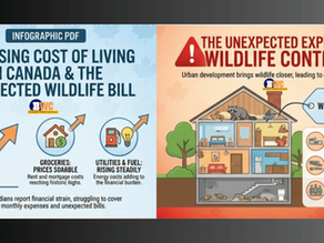  Groceries or Wildlife  Control Brampton? The Real Cost-of-Living Choice Homeowners, Brampton Wildlife Control
