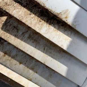 Bird Removal From Bathroom Fan Wall Exhaust.jpeg