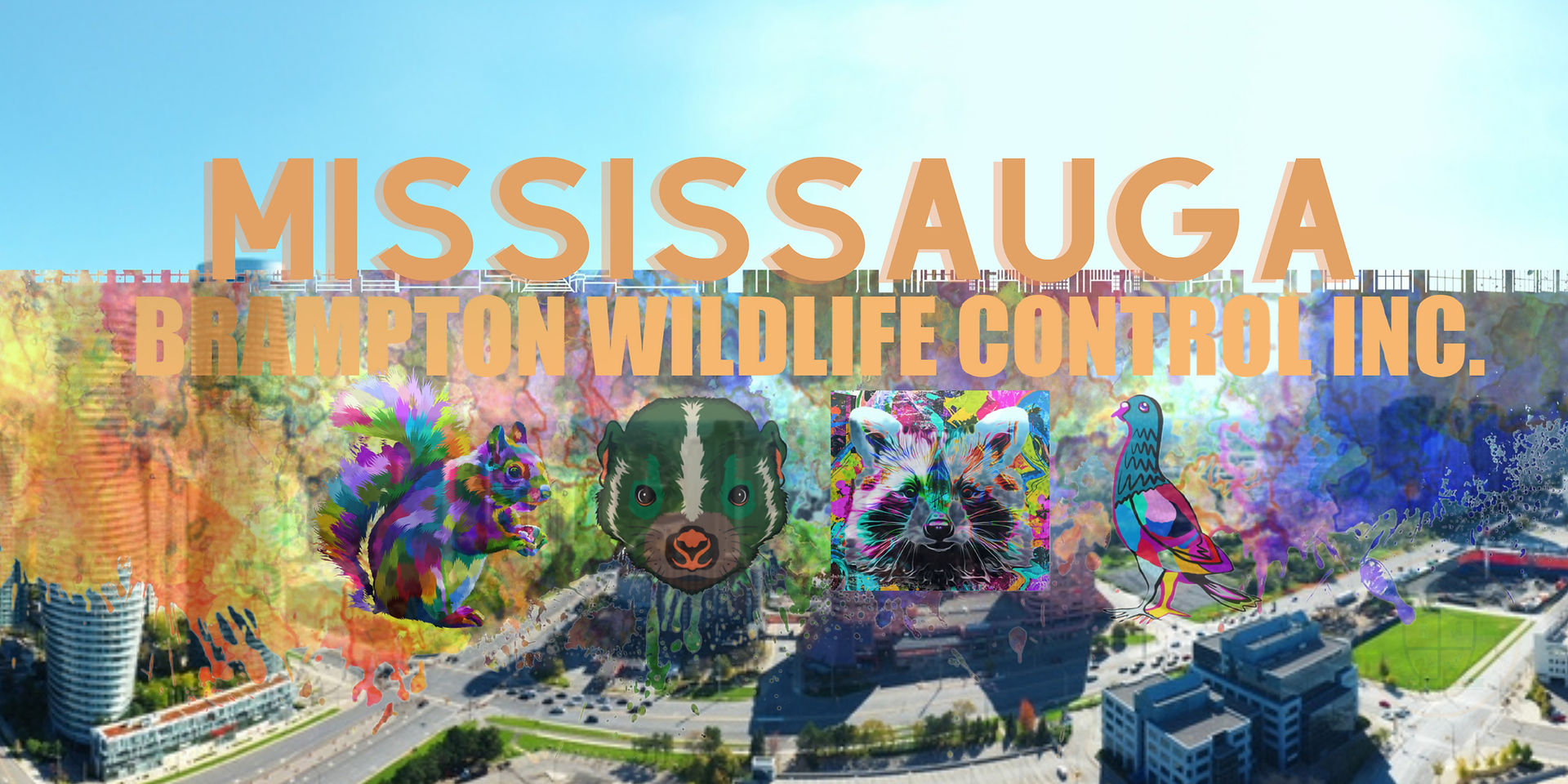 Wildlife Control Mississauga
