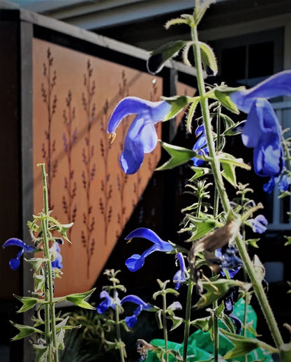 Corten garden and privacy screens by Grounded Art NZ