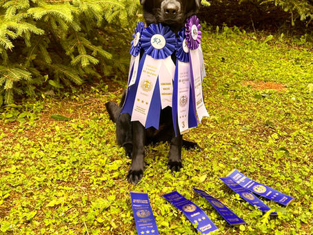 Nouvelle année = Nouveaux objectifs?