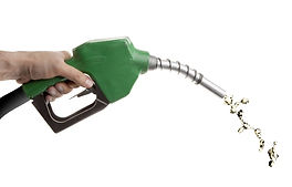 ec6b51e66f1f88a1b4463e935d4470c7.JPG