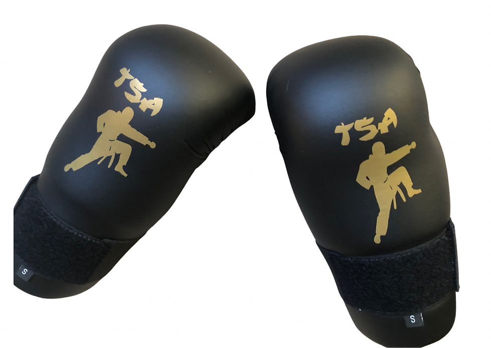 TSA sparring gloves