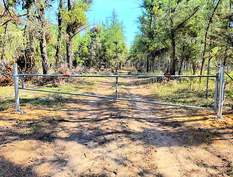 110340491_144116697307507_68281388296103