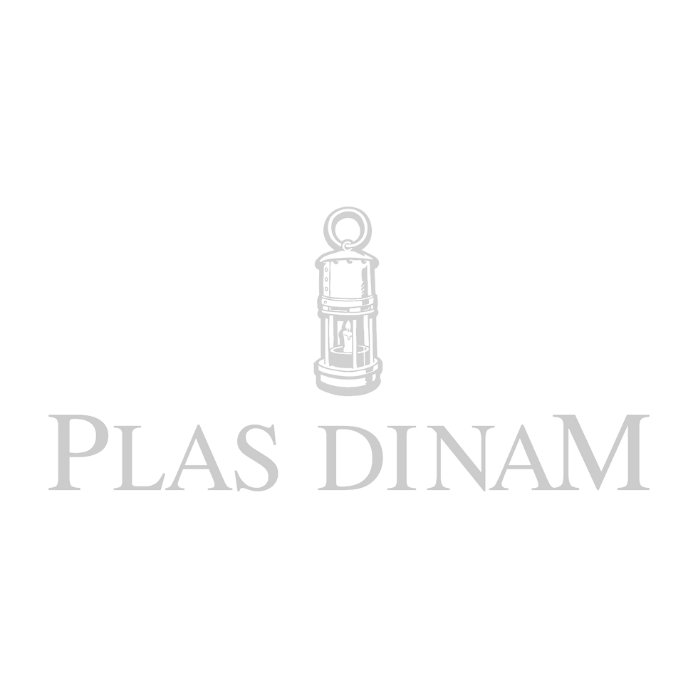Plas%20Dinam%20Square_edited