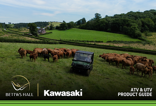 2024 ATV & Mule Product Sales Guide_180324152042.pdf.png