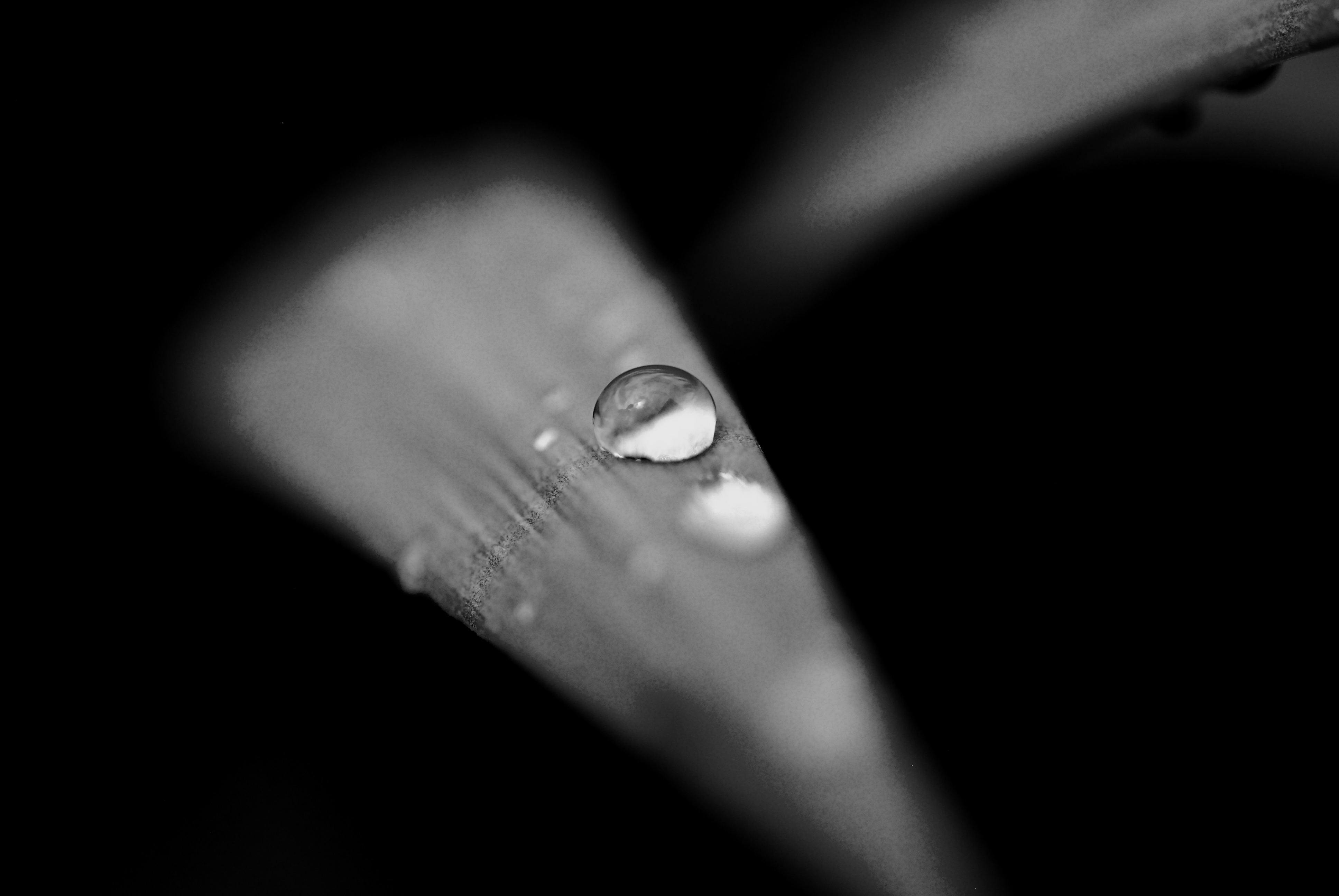 Details Power