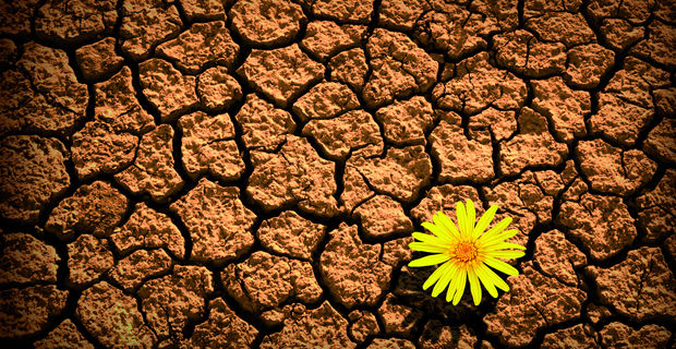 resiliencia.jpg