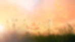 AdobeStock_184689163_edited.jpg