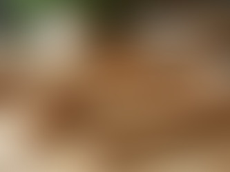 Explore Sustainable Home Goods: A Guide to Eco-Friendly Choices