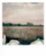 Original Polaroid decay showing a moorland in Mid-Zealand, Denmark