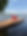 IMG_2275.jpeg