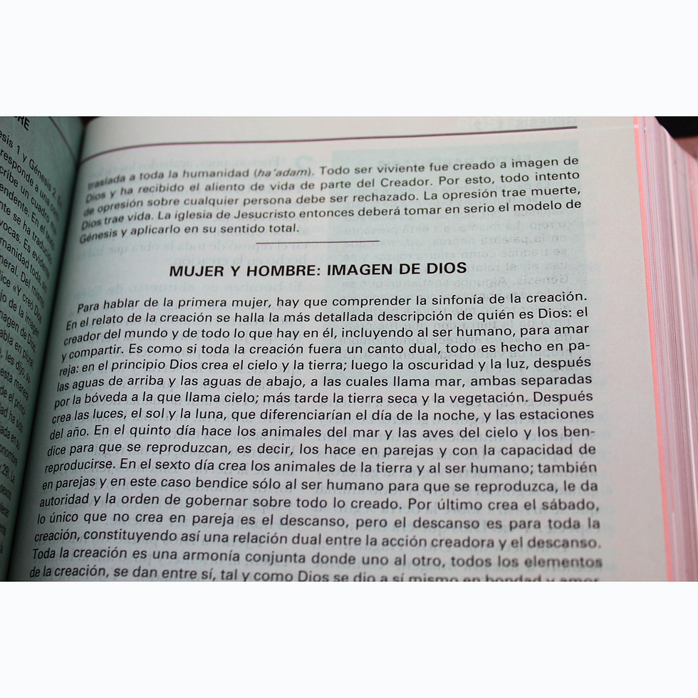 Miniatura: Biblia "La Mujer en la Biblia"