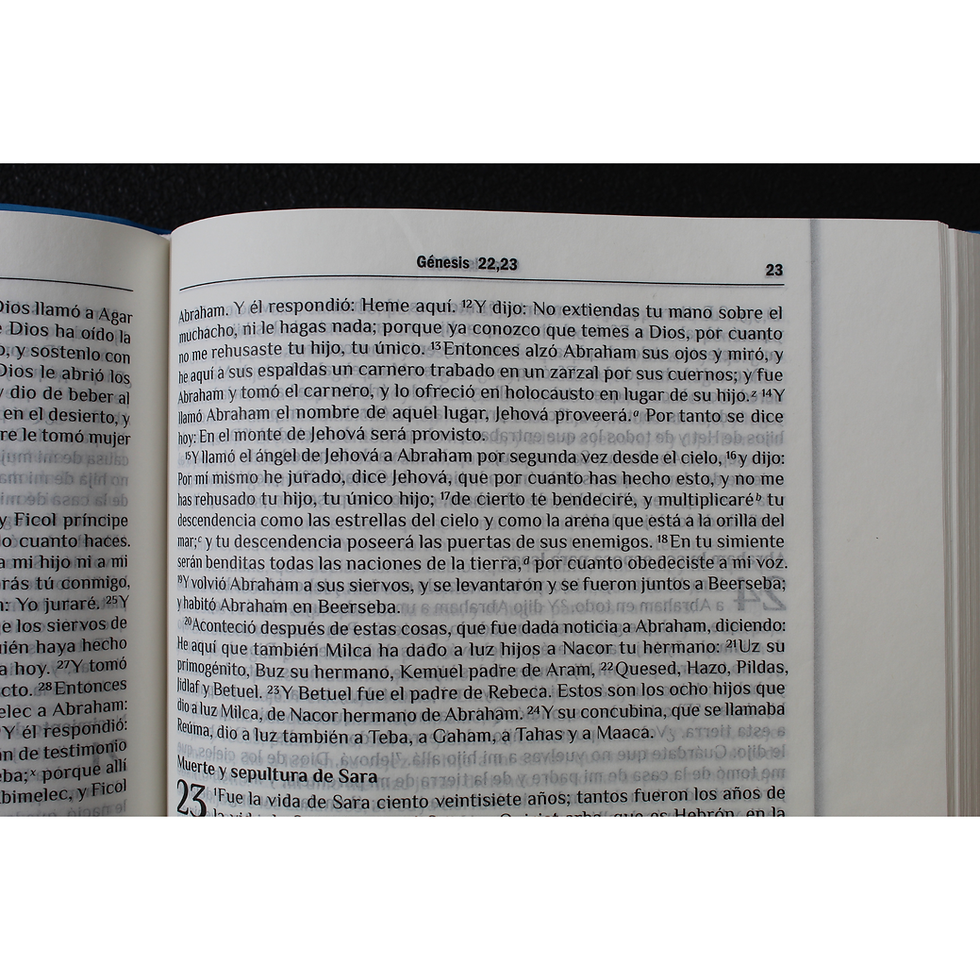 Miniatura: Biblia Devocional 365 -Reflexiones Diarias