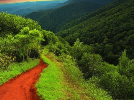 Top 5 Reasons Not to Miss Beech Mountain adventure tours