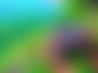 10 Answers Why Side by Side Tours are so Popular