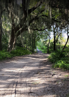 off road trails orlando fl.PNG