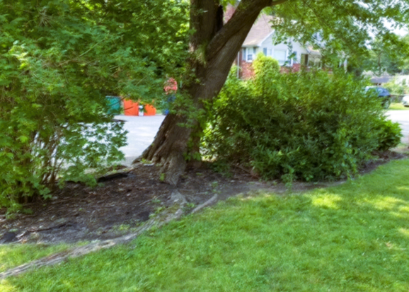 Joseph James Landscaping Project Picture