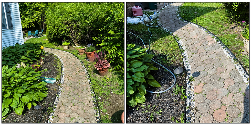 Joseph James Landscaping Project Picture