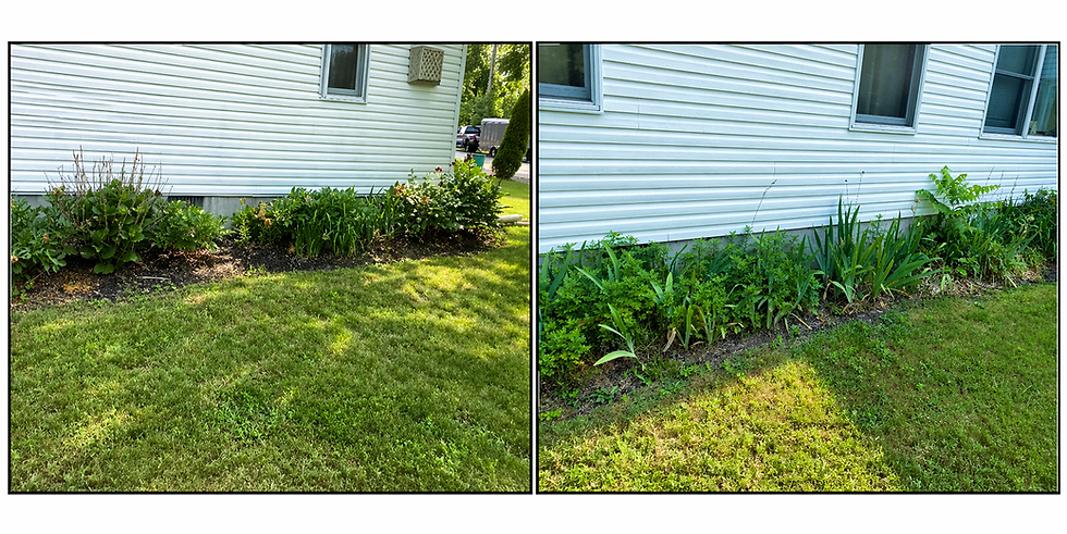 Joseph James Landscaping Project Picture