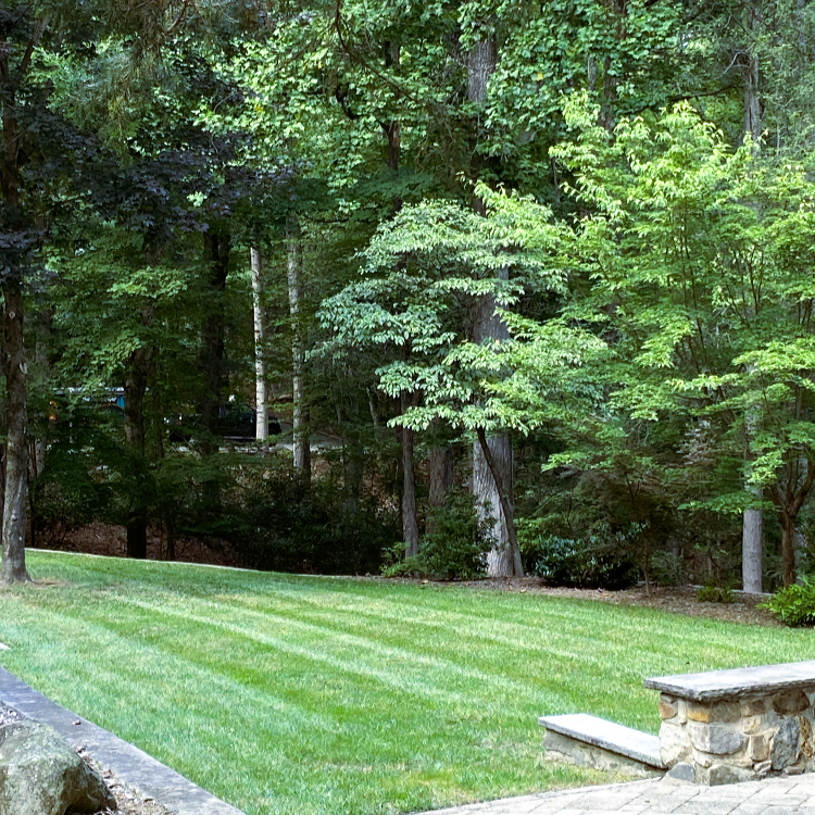 Joseph James Landscaping Project Picture