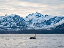 AdobeStock_606135235.jpeg