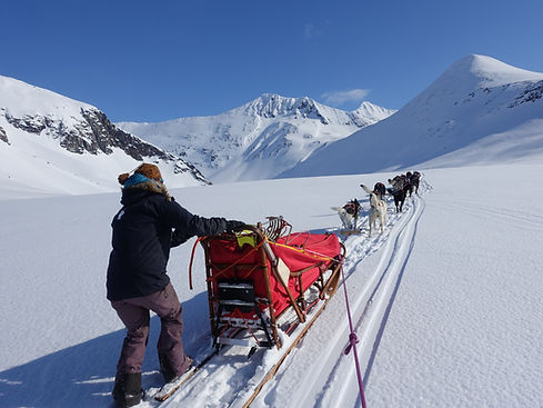 dog sledding