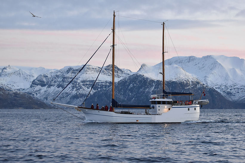arctic expedition norway