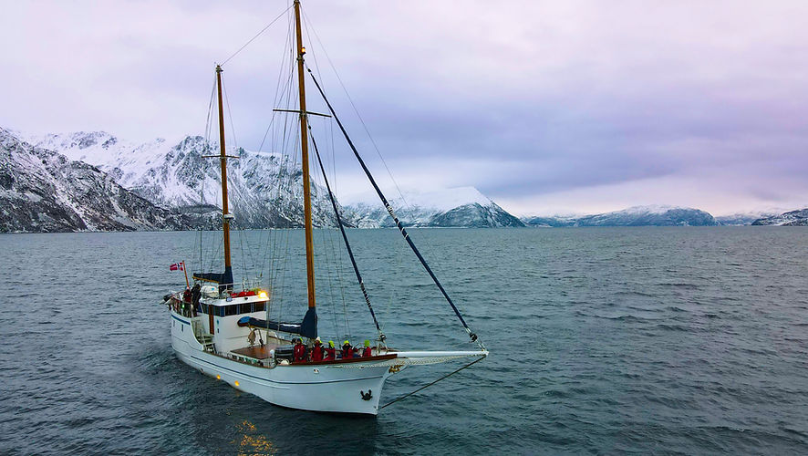 Luxury yacht sailing in tromso fjords