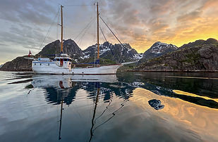 midnight sun stella oceana.jpg