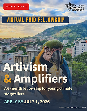 Artivism & Amplifiers (2).png