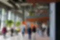 pier 57 adentro.webp