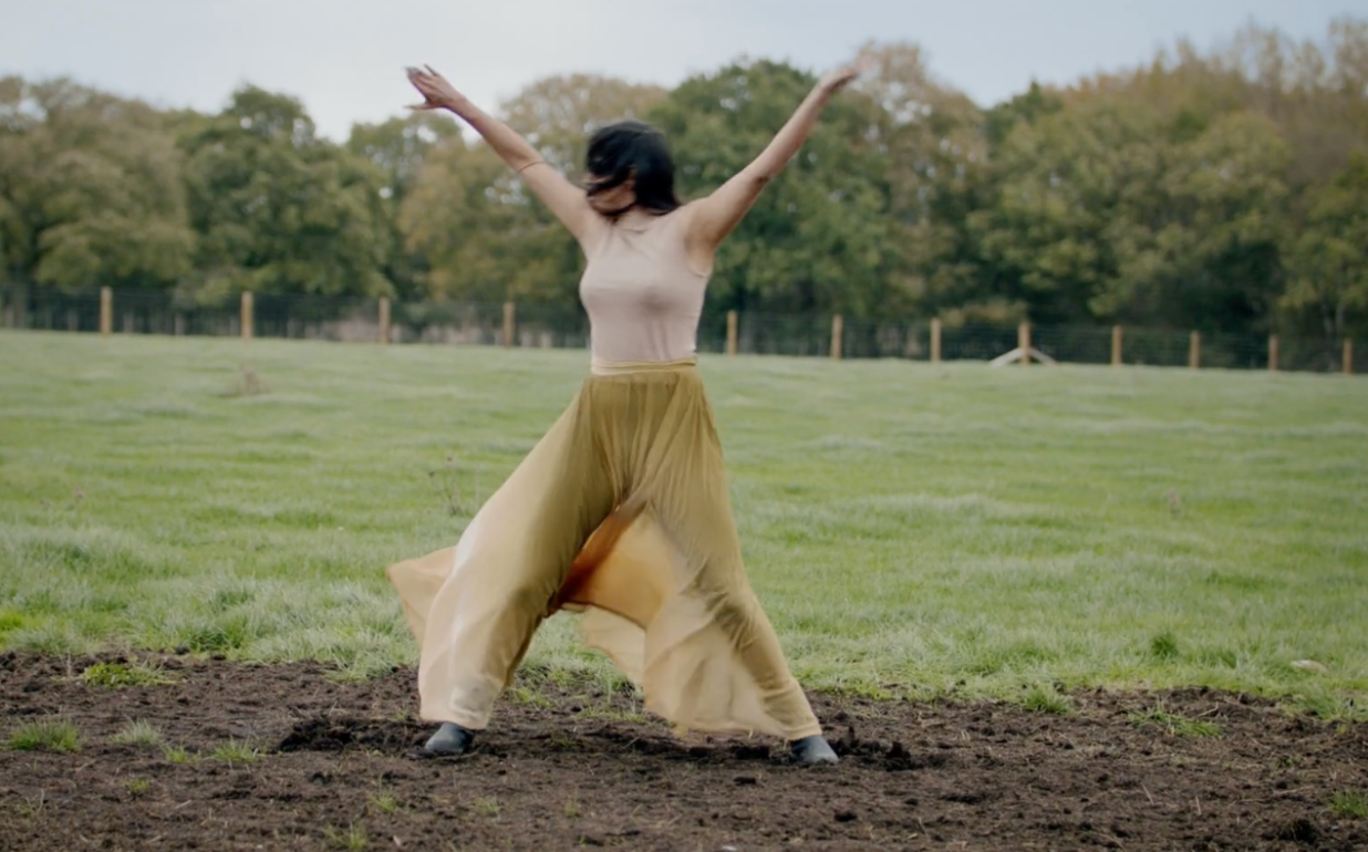 Cultivate / Sima Gonsai