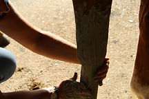 IMG_9226.JPG