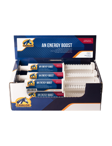 Miniature : An Energy Boost  60 g