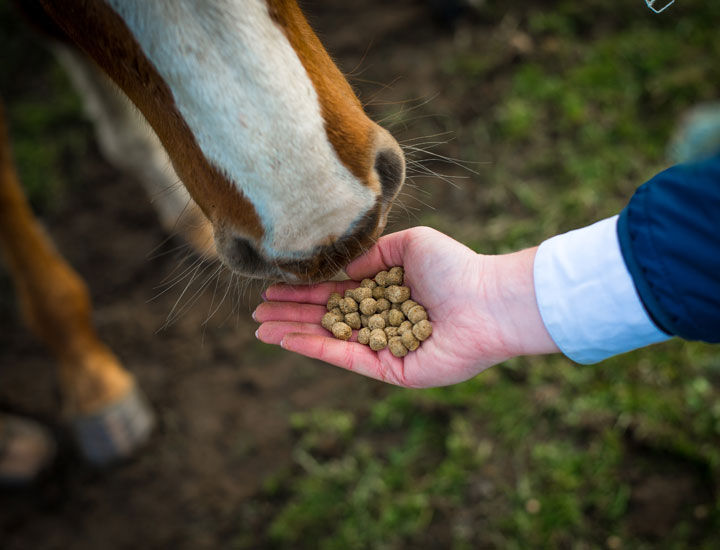 Miniature : Start & Go Soft