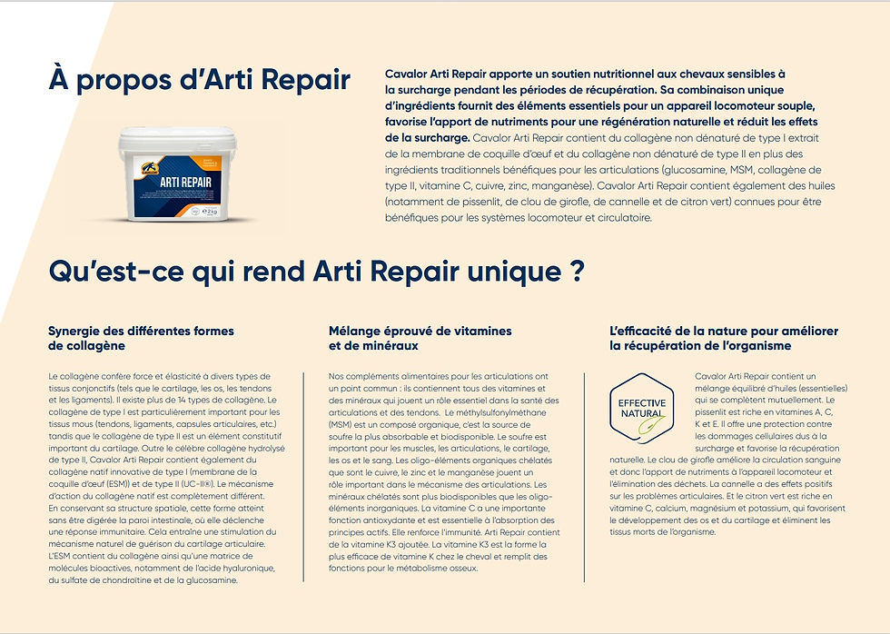Miniature : Arti Repair