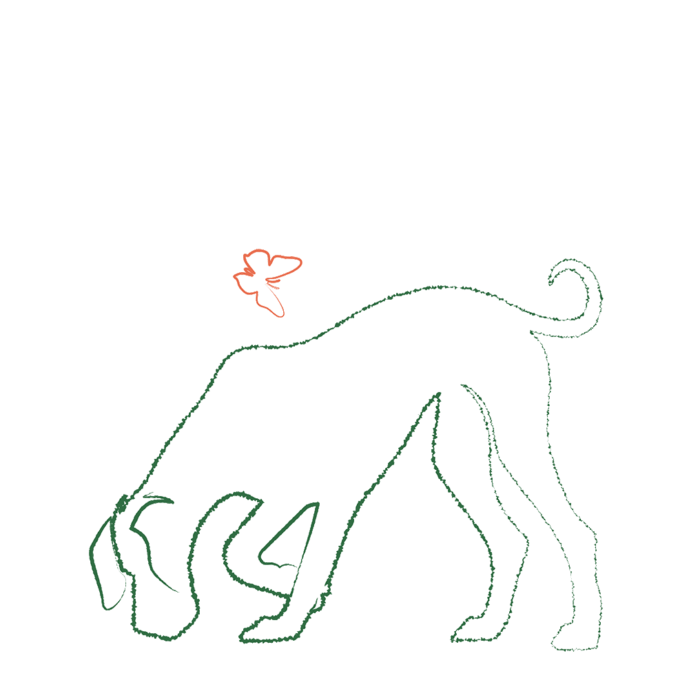 Big-Black-Dog_2CLR_sml.gif