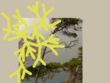 Hotel am Meer: Ein Corporate Design Refresh