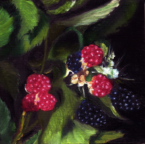 Raspberries