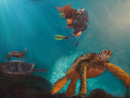 Swimming with Turtles